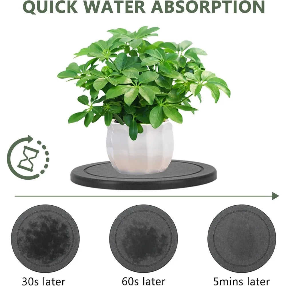 3Pcs/Set Diatomaceous Earth Plant Saucer Set, 3 Pack, Gray, 6 or 8 Inch Diameter, Indoor Outdoor Planter Drip Tray with Non-Slip Pads