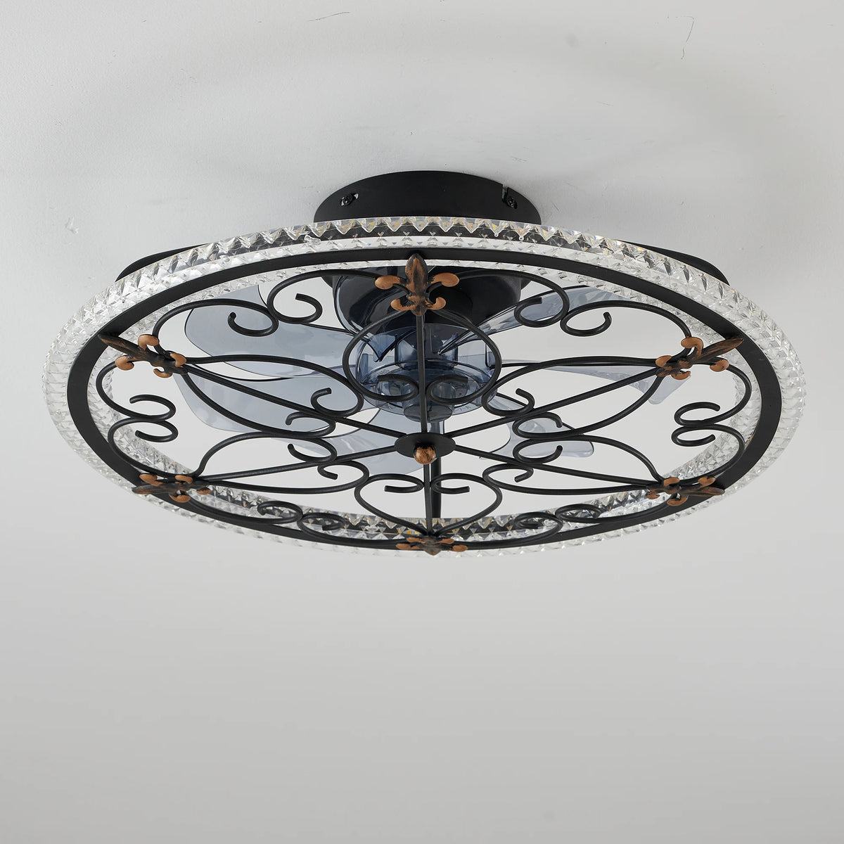 Rustic Black Caged Ceiling Fan with Light, Farmhouse Remote Control Fan Light, Reversible LED for Bedroom Kitchen