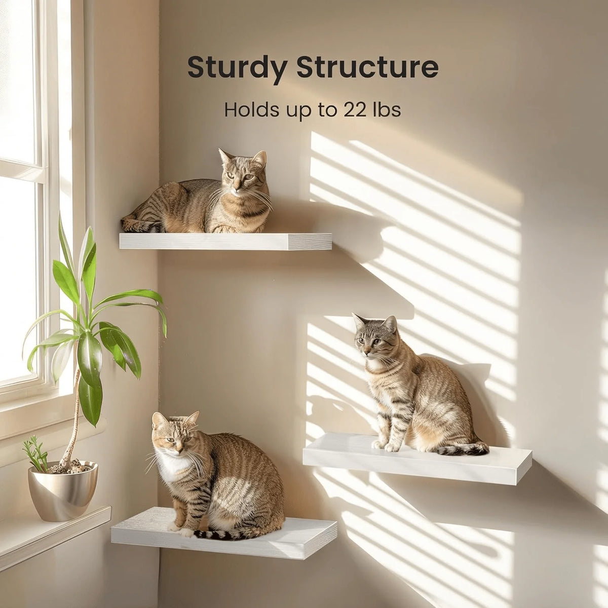 Floating Shelving Unit For Home Goods; Wall Shelves For Bathroom, Living Room, Bedroom, And Kitchen Decor; White Bookshelf With Hidden Brackets; Set Of 3