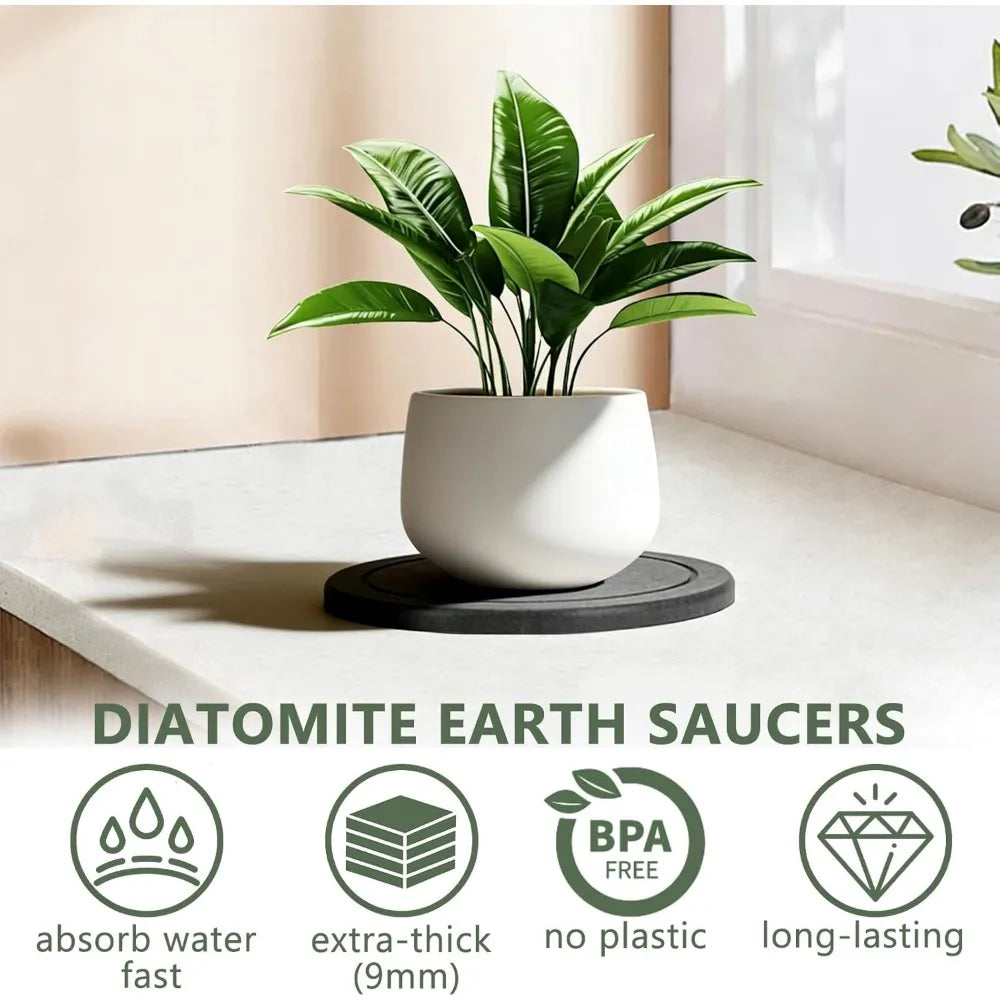 3Pcs/Set Diatomaceous Earth Plant Saucer Set, 3 Pack, Gray, 6 or 8 Inch Diameter, Indoor Outdoor Planter Drip Tray with Non-Slip Pads